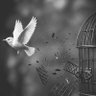 𝑱𝒆𝒔𝒔𝒚𝒄𝒂 𝑲𝒂𝒑𝒆𝒏𝒅 🤍 profil fotoğrafı
