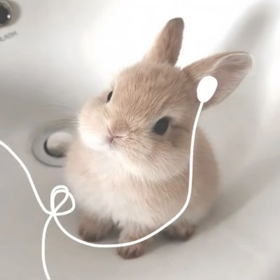 Giveyeye's profile picture