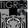 TigreHumilde's profile picture