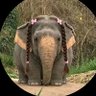 Shoog's profile picture