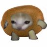 Profilbild von kiwinor