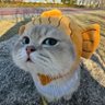 :) profil fotoğrafı