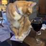 Pam's profile picture