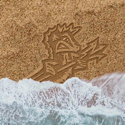 NorfolkTides's profile picture
