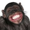 Фото профиля 𝕋𝕖𝕤𝕤 𝕋𝕚𝕔𝕜𝕝𝕖™ 🐒