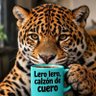 Фото профиля Rafael Barquero