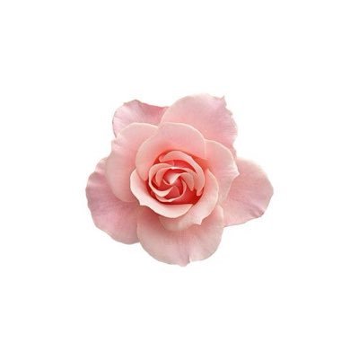 ✩'s profile picture