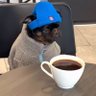 V K's profile picture