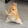 karis 🎀 profil fotoğrafı