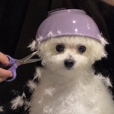 cris's profile picture