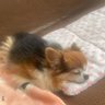 Фото профиля 押しピン