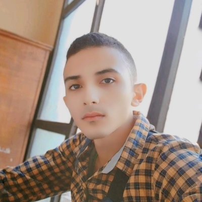 ahmedelkadyx's profile picture
