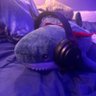 🦈 𝓐𝓵𝓲 🐬 profil fotoğrafı