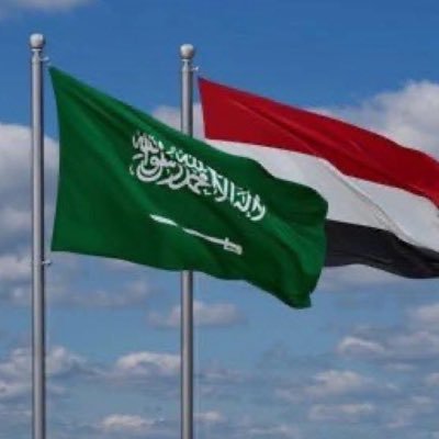 AliAldhamy1's profile picture