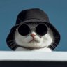 Profilbild von ۟