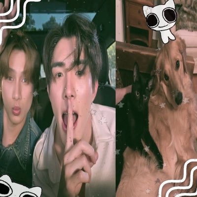 Shao's profile picture