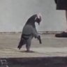 vrishtea profil fotoğrafı
