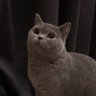 inkster 💐's profile picture