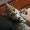 Ceeeey profil fotoğrafı