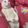 take all of me 的头像