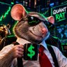 QUANT RAT 的头像