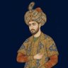 Profilbild von میرزا