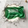 هشام مدهر profil fotoğrafı