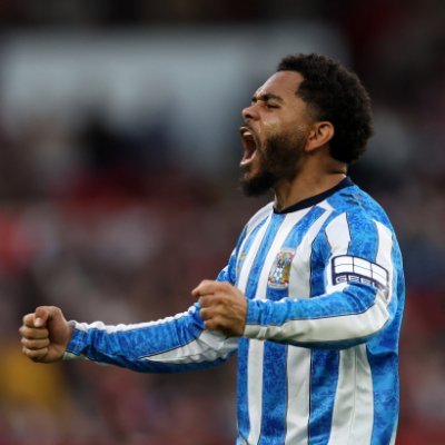 (C) 🇵🇹🇫🇷🏴 (ITK)'s profile picture