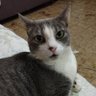 valéria's profile picture