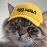 Mehcat 的头像