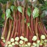 Фото профиля ابو عبد لله الزيدي