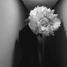 yhm†'s profile picture