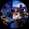 Ķ's profile picture