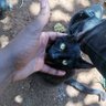 Lord Kipchumba🇰🇪 profil fotoğrafı