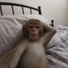 Addo's profile picture