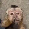 Profilbild von thiago