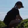 Ashley's profile picture