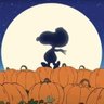 Profilbild von Kris Marie 🍁🍂🎃