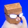 Profilbild von filistin