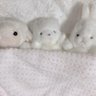 alice profil fotoğrafı