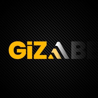 gizaguncel's profile picture