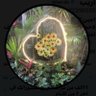 أريب profil fotoğrafı