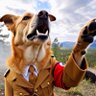 Christopher Robin profil fotoğrafı