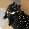 Heehee's profile picture