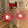 𝖁𝖎𝖙𝖍𝖒's profile picture