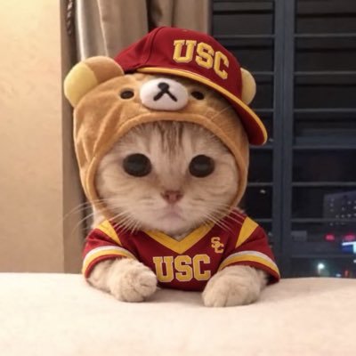 Trey Bets's profile picture
