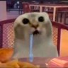step's profile picture