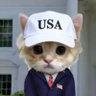 Proud MAGA Patriot 🇺🇸 profil fotoğrafı