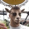 Profilbild von TrustMeImALawyer