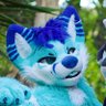 Geo ๐ฉต's profile picture